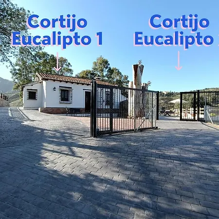Holiday home Cortijo Eucalipto 2